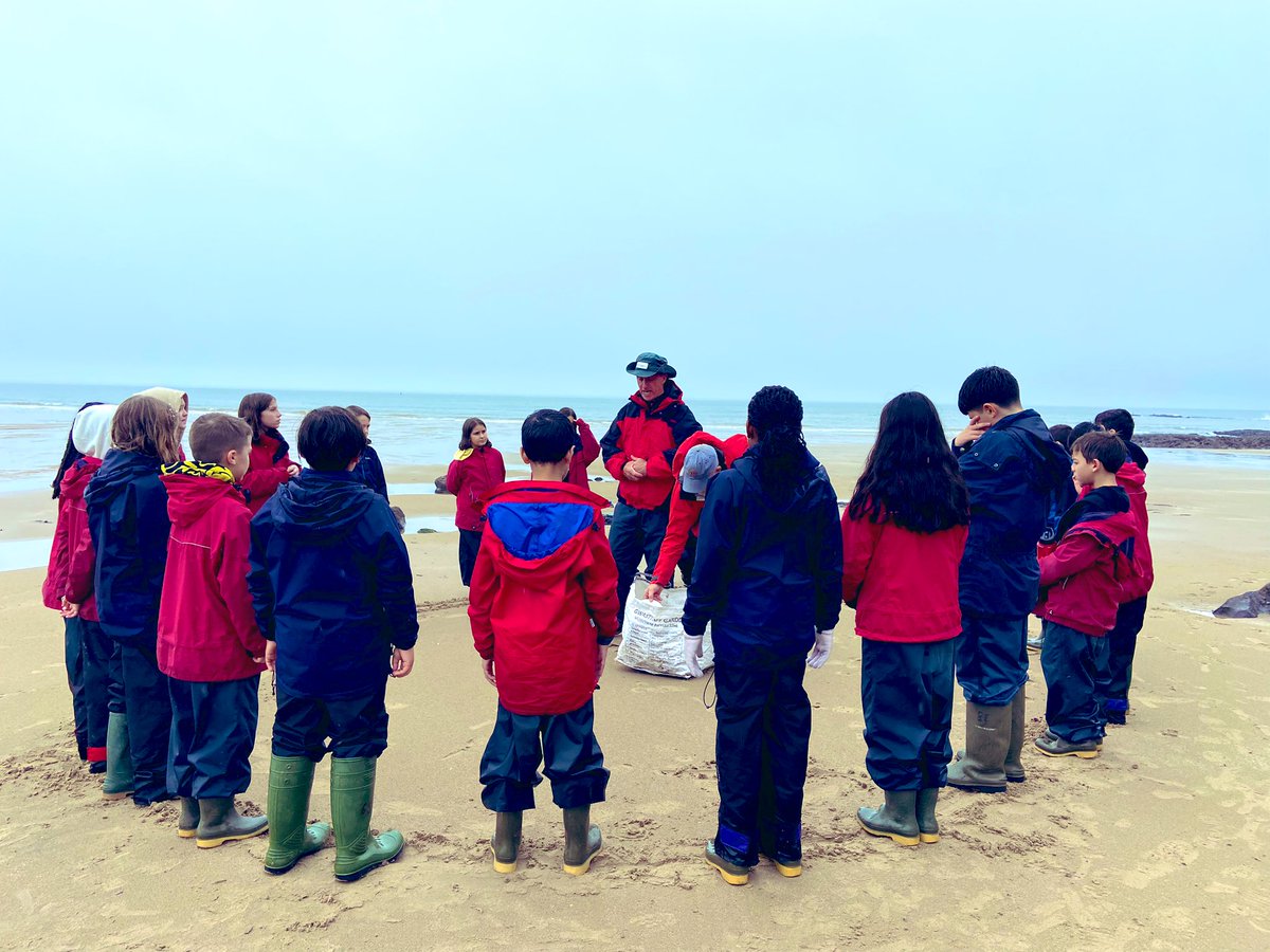 Alexandra Primary School tweet media