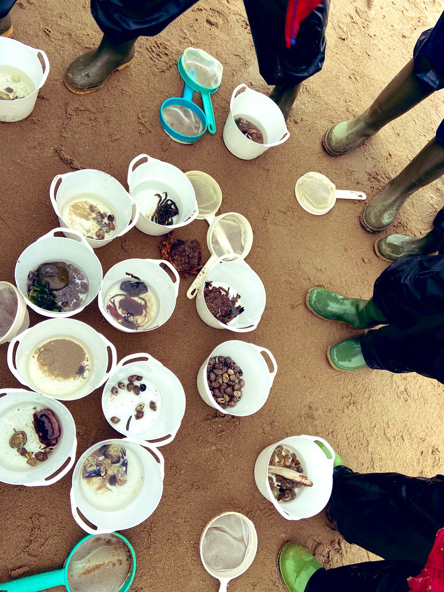 Alexandra Primary School tweet media