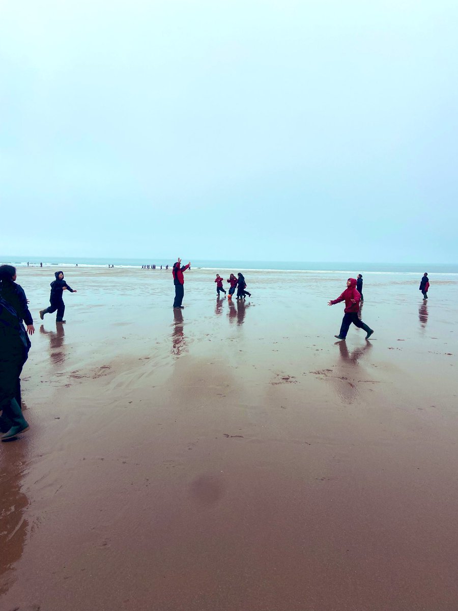 Alexandra Primary School tweet media