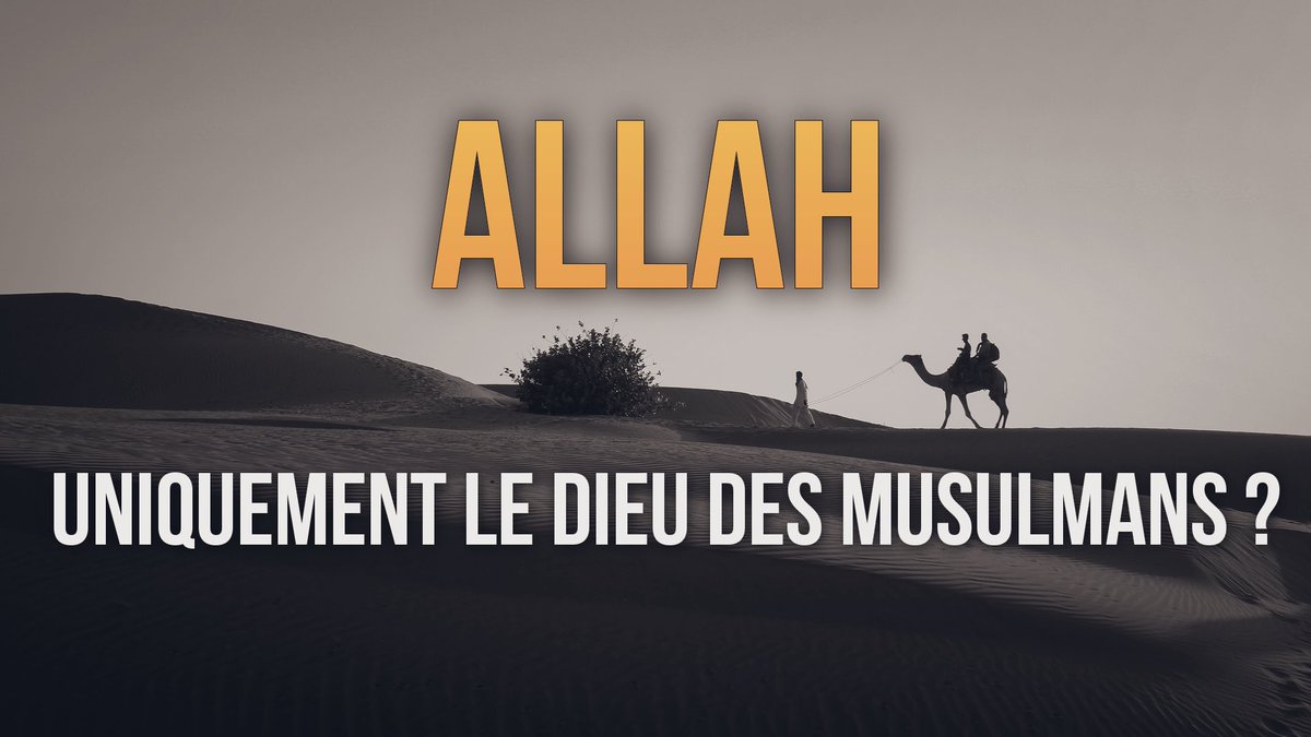 Alex-Islam tweet media