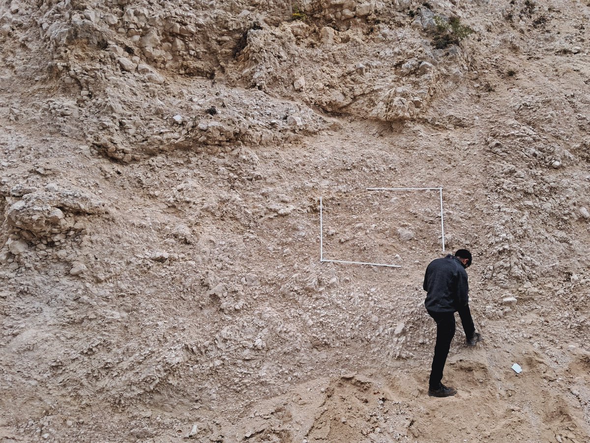 Symeon Makris tweet media