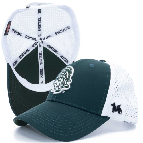 Michigan State Gear tweet media