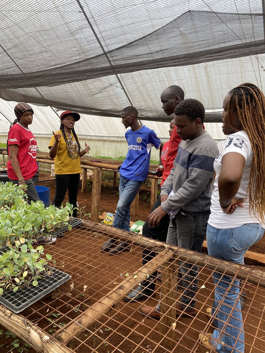 DannyCoyne6's tweet image. Capacity building at YMCA agricultural college in Limuru, Kenya. As the #ResilientCities Inititiative (RCI) transforms into the Future Food Frontiers &amp;amp; Security!  @NemAfrica continues to advocate for the use of tray seedlings to avoid pest propagation and increase produce.
