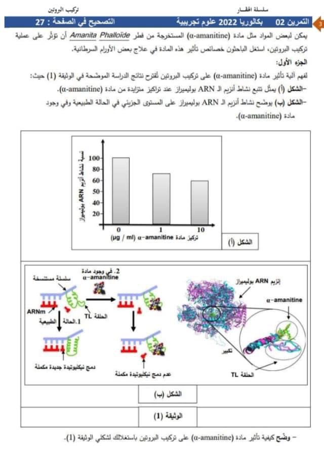bacfac's tweet photo. لتلاميذ السنة الثالثة ثانوي سلسلة ضخمة حول  تركيب البروتين تتضمن 16تمرين بكالوريا حول هذه الوحدة و بكالوريا تجريبية مرفقة باجابتها النموذجية شكرا لمن أعد هذا العمل  وساهم في نشره موفقين .
المصدر : سلسلة الهقار - للأستاذ محمد مهدي أخموك

https://t.co/OPN18XBP6E https://t.co/UhsiC5HaVf