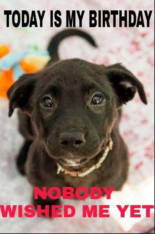 Happy birthday Valt 🎂 ♥️