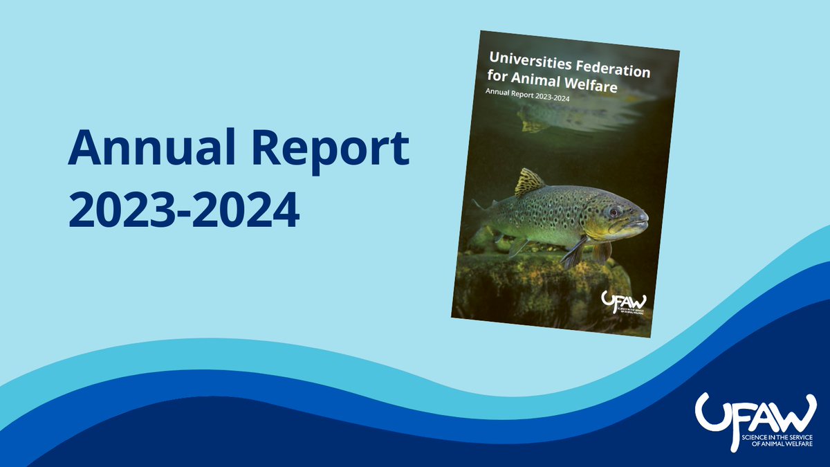 📢 The 2023-2024 UFAW Annual Report is now available, highlighting our latest efforts in advancing animal welfare science.

Read it here ➡️ow.ly/J6pF50TMxlA

#AnimalWelfare #AnimalWelfareScience