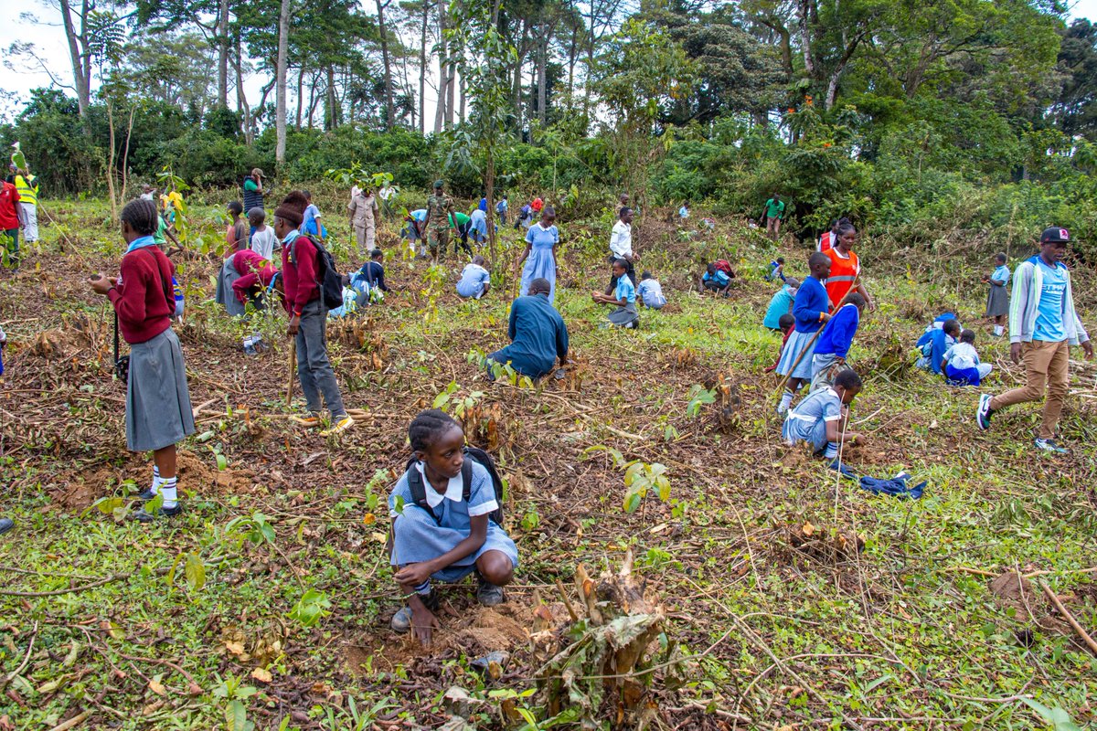 Climate & Child Initiative tweet media