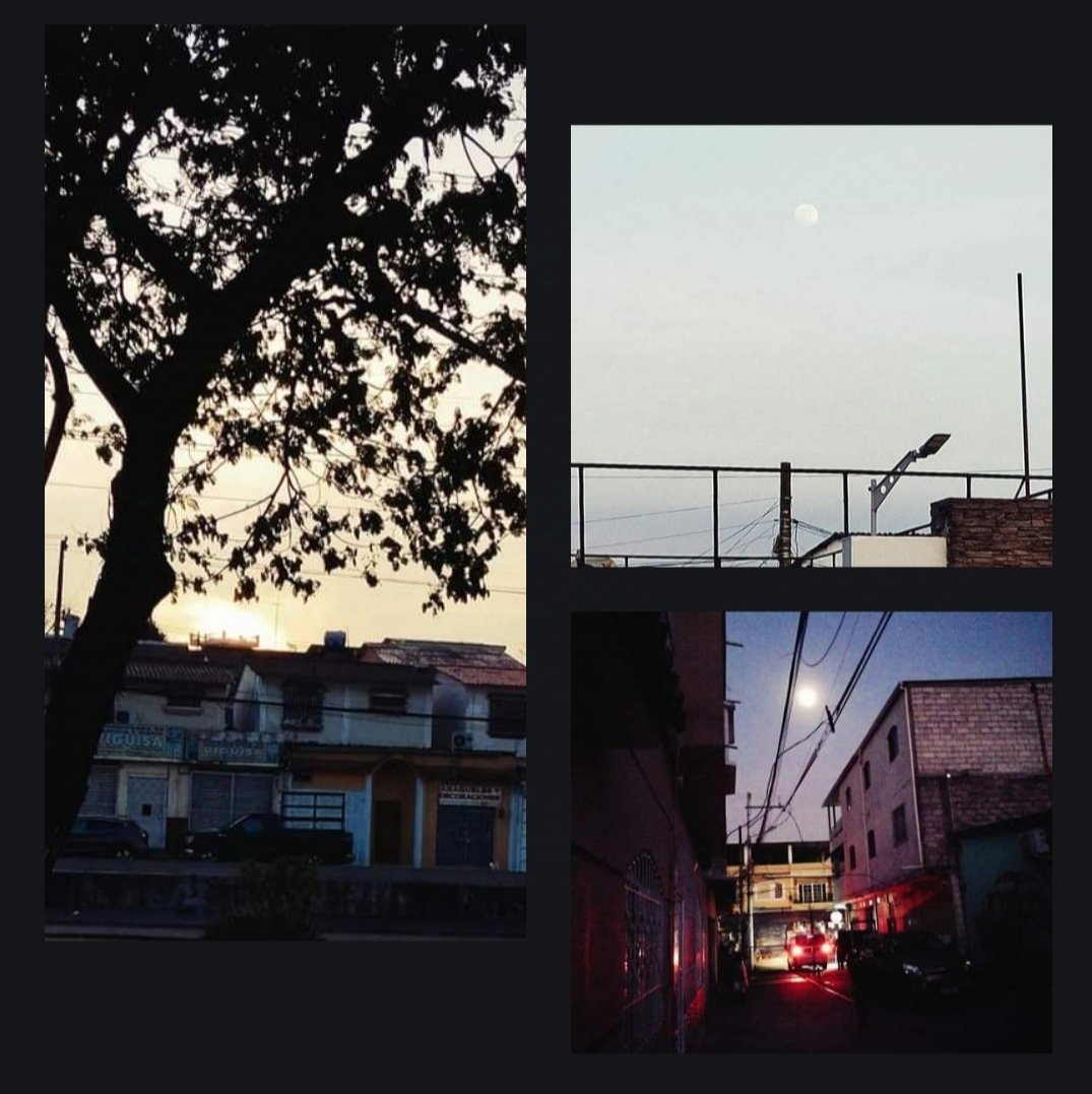 Louis Jules tweet media