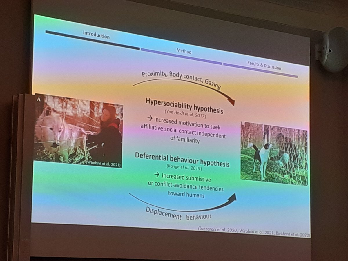 DZG section Behavioural Biology tweet media