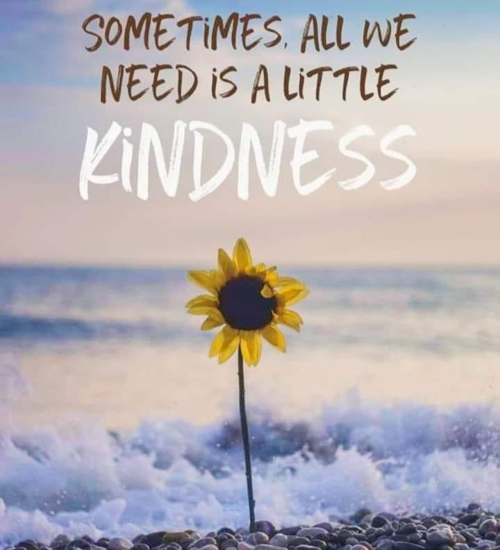 ✨✨Daniella✨✨ (@misssarkypants) on Twitter photo 