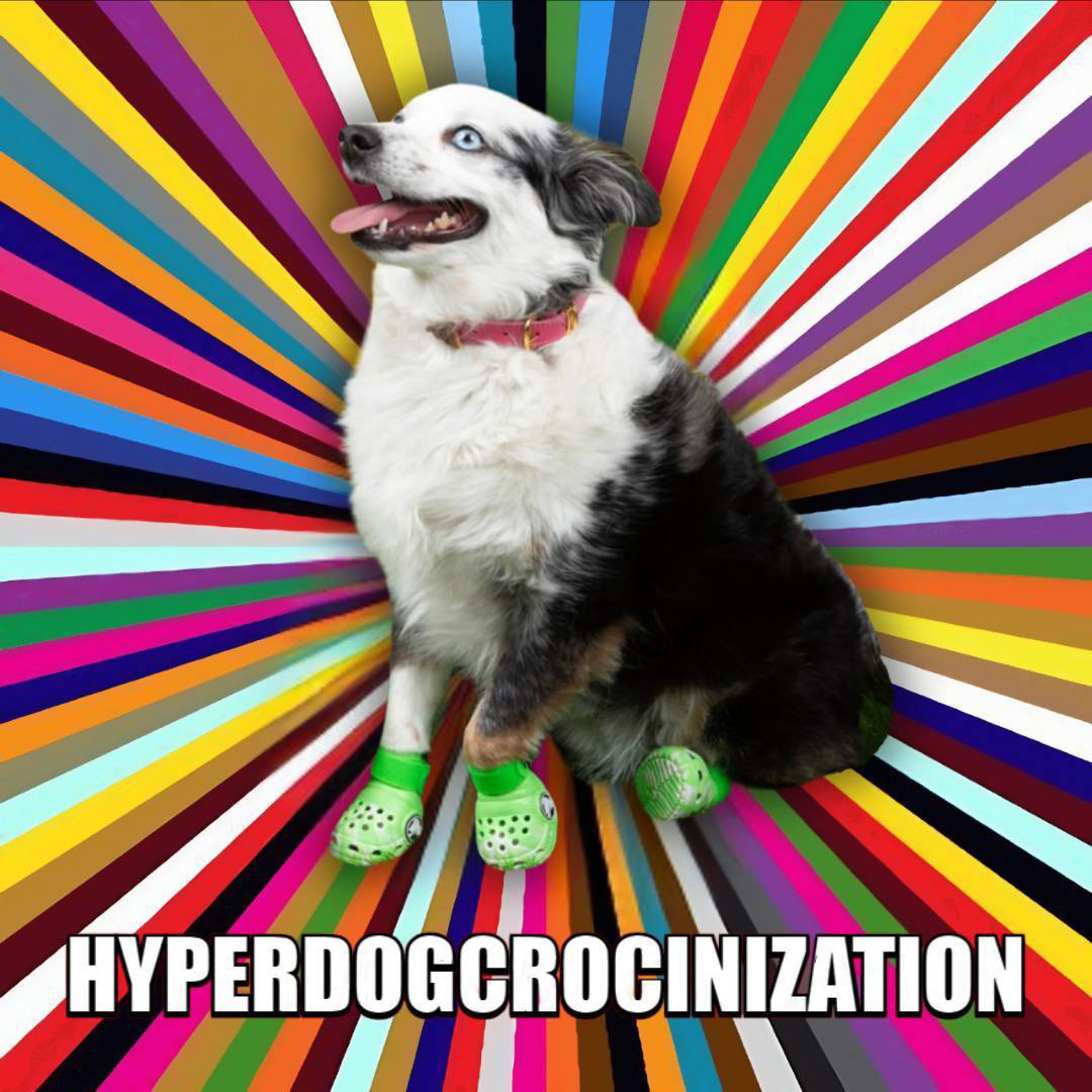 <a href="/CryptoTalkMan/">CTM</a> $CROCS

CKMYq8fN5NyqEhttWr8xj4Q2fyEJv686QANnT7dopump

#crocsfordogs @wifCrocsCTO