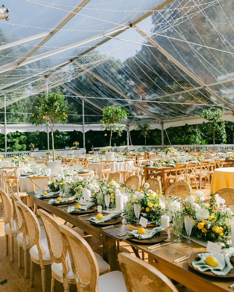 Design Cuisine tweet media