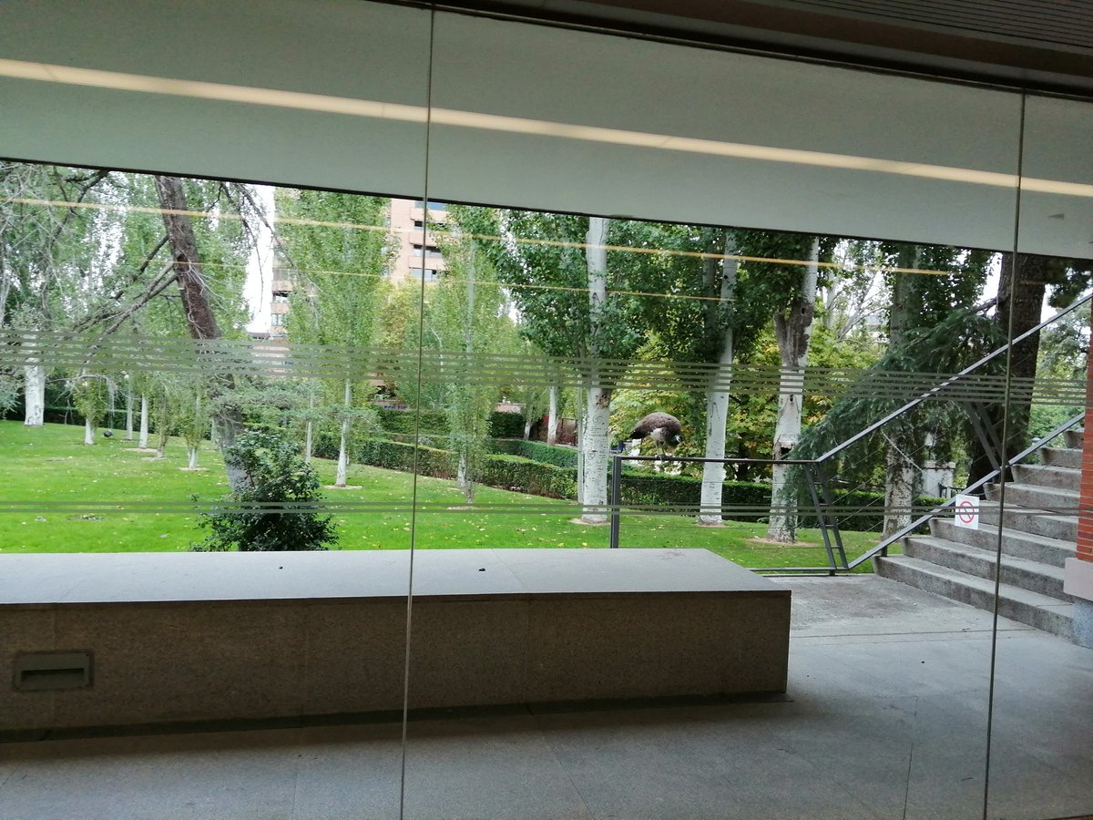 AcpiSomos's tweet photo. En los Jardines de Cecilio Rodríguez de El Retiro se hizo la entrega de los premios de las asociaciones de periodistas que tienen su sede en España como el Club Internacional de Prensa, ACPE, ACPI, Corresponsales árabes, etc.. https://t.co/71tSbKbrZu
