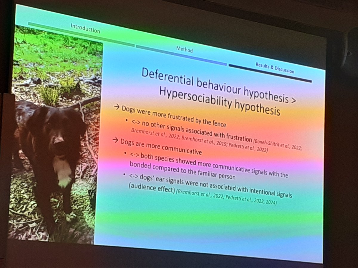 🐕 The final speaker of our welfare session was Svenja Capitain (Konrad Lorenz Institute of Ethology), showcasing her results on how human greeting behaviour is perceived by dogs and wolves - looking at dog and human behaviour.

#gradbehav24