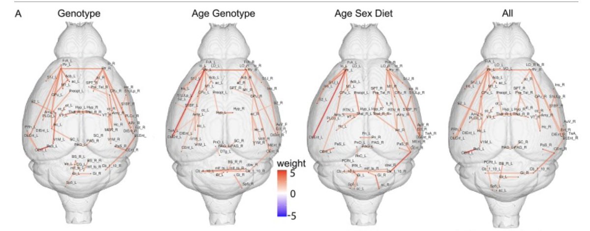 How do risk factors for late-onset Alzheimer's disease impact brain networks? Read our latest publication to learn what diffusion imaging reveals about these key edges in the brain connectome, and how immunity interacts with APOE genotypes. 
pubmed.ncbi.nlm.nih.gov/39362319/