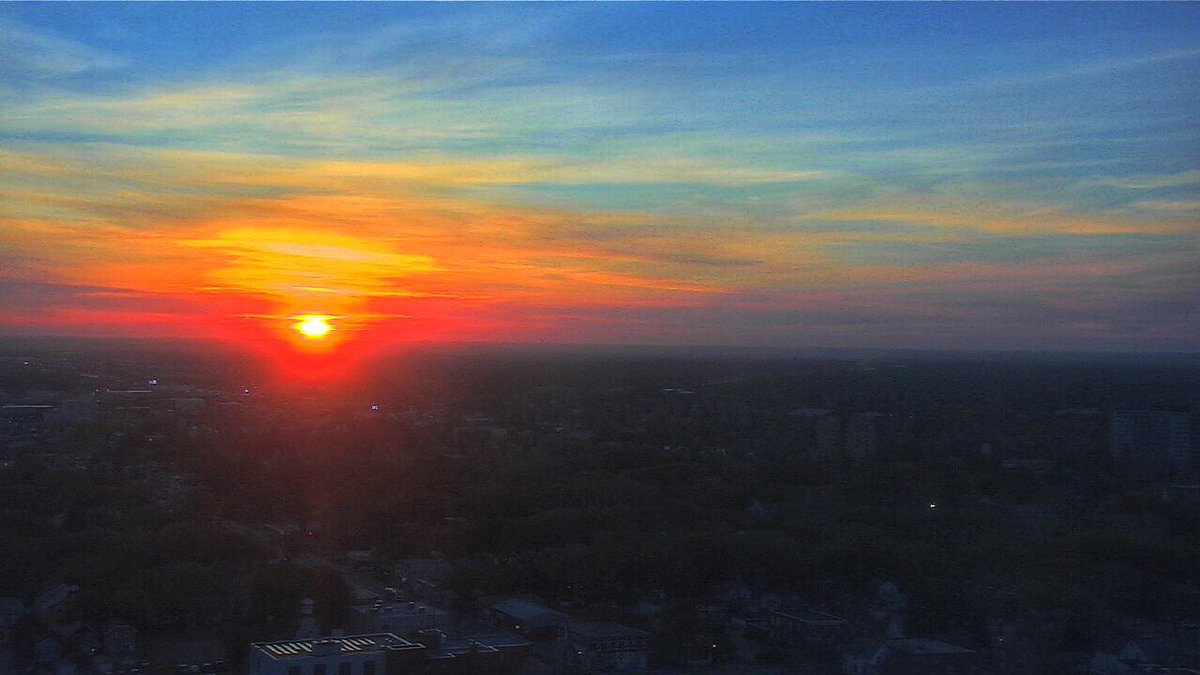 Chris Arden Haynes tweet media