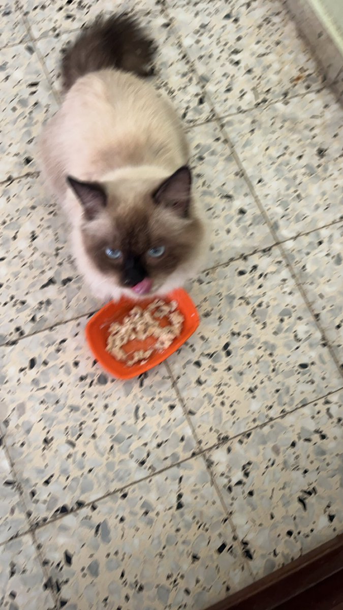 MOHAMMED𓂆 tweet media