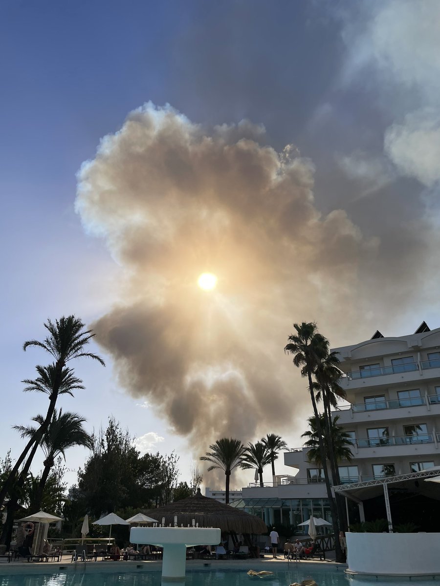 svenrobins tweet media