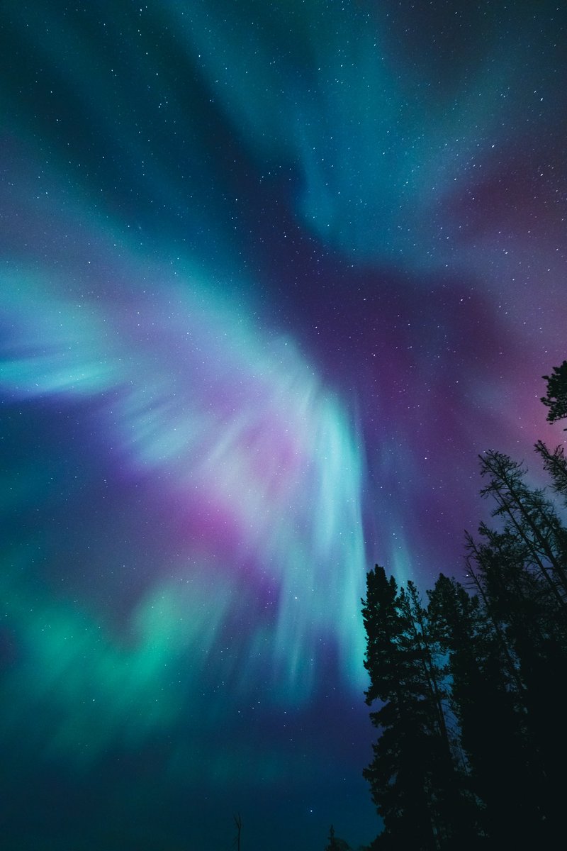 GM GM beautiful people 🌌