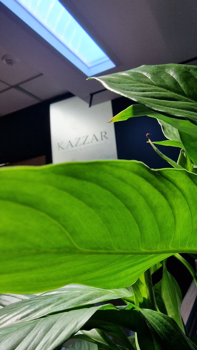 KazzarLighting's tweet photo. The artificial daylighting updates in the office coming to completion, this is the Z-window 1500 just installed over our kitchen area... 
#artificialdaylight #skylight #artificialskylight #Biodynamiclighting #sunsky #Circadianlighting https://t.co/Dhqh5MgGoN