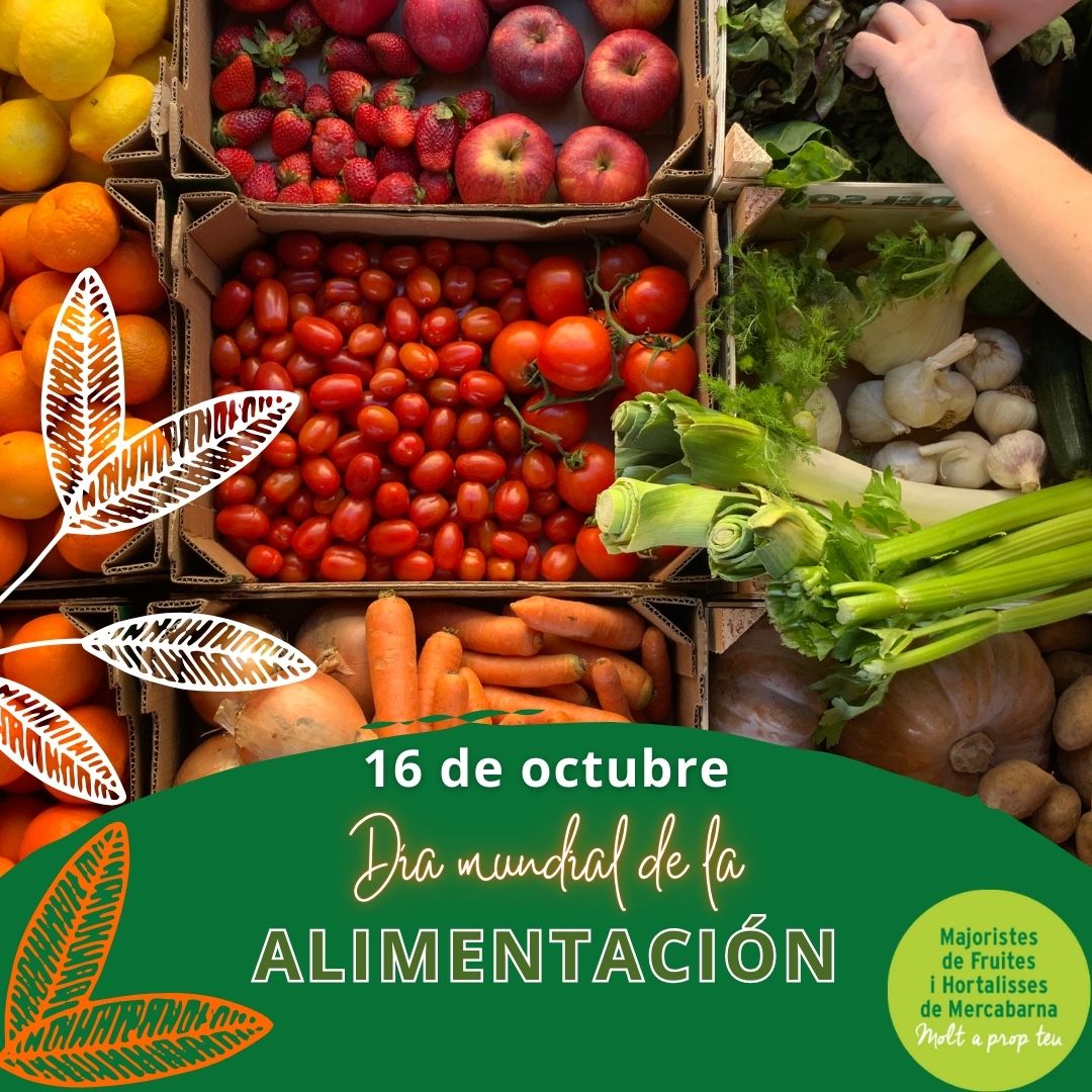 Agem_majoristes's tweet photo. #sabiasque hoy es el Día Mundial de la Alimentación?
El lema de este año es: «Derecho a los alimentos para una vida y un futuro mejor».
El #DiaMundialDeLaAlimentacion fue proclamado por la @FAO y busca promover acciones de cambio que fortalezcan la #seguridadalimentaria en el🌍 https://t.co/AzWxq4ukqW