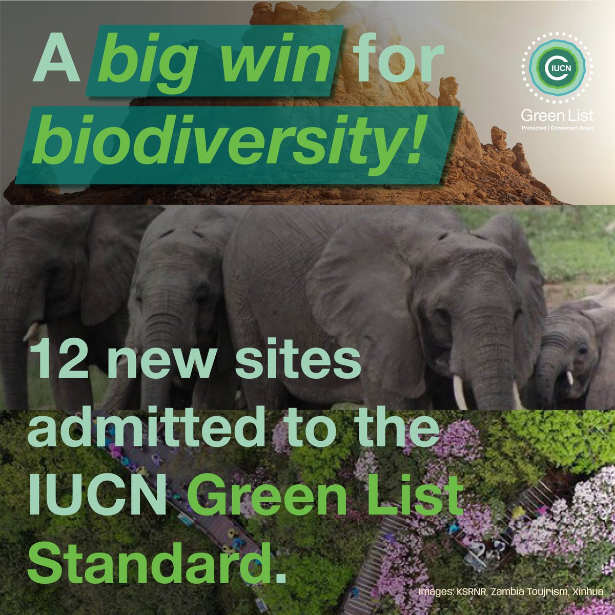 IUCN_PA's tweet image. 12 new sites achieve the #IUCNGreenList standard!

The global standard also serves as a complementary indicator for Target 3 of the Kunming-Montreal Global Biodiversity Framework.

Discover the sites: iucn.org/news/202410/iu…

#ACT30 #30x30