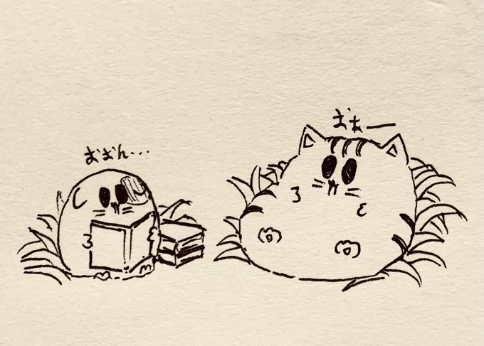 のんびりしてしまう 