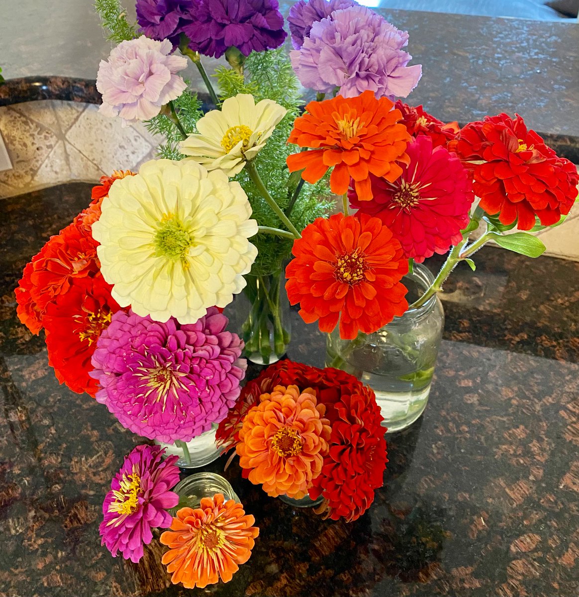 HarpersGardens's tweet photo. Some cut flowers 💐 tiny cold front moving through right now should encourage many more blooms!! 🙌 #GardeingX #FlowersOnX #zinnia #wednesdaymotivations https://t.co/OoaqImuqft