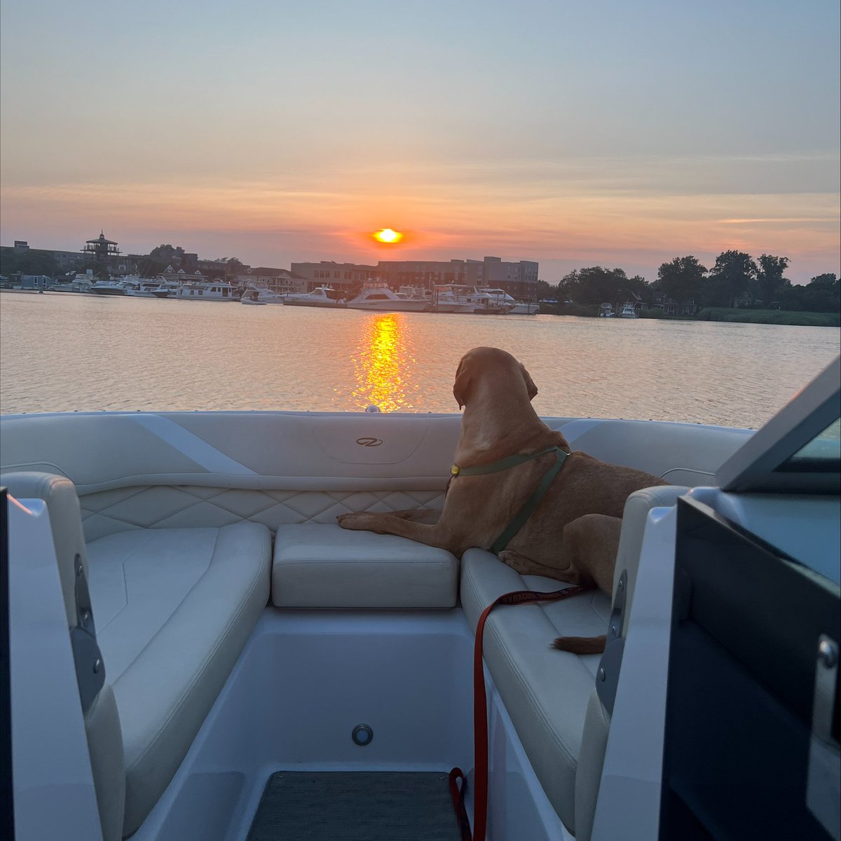 BoatingOnLI tweet media