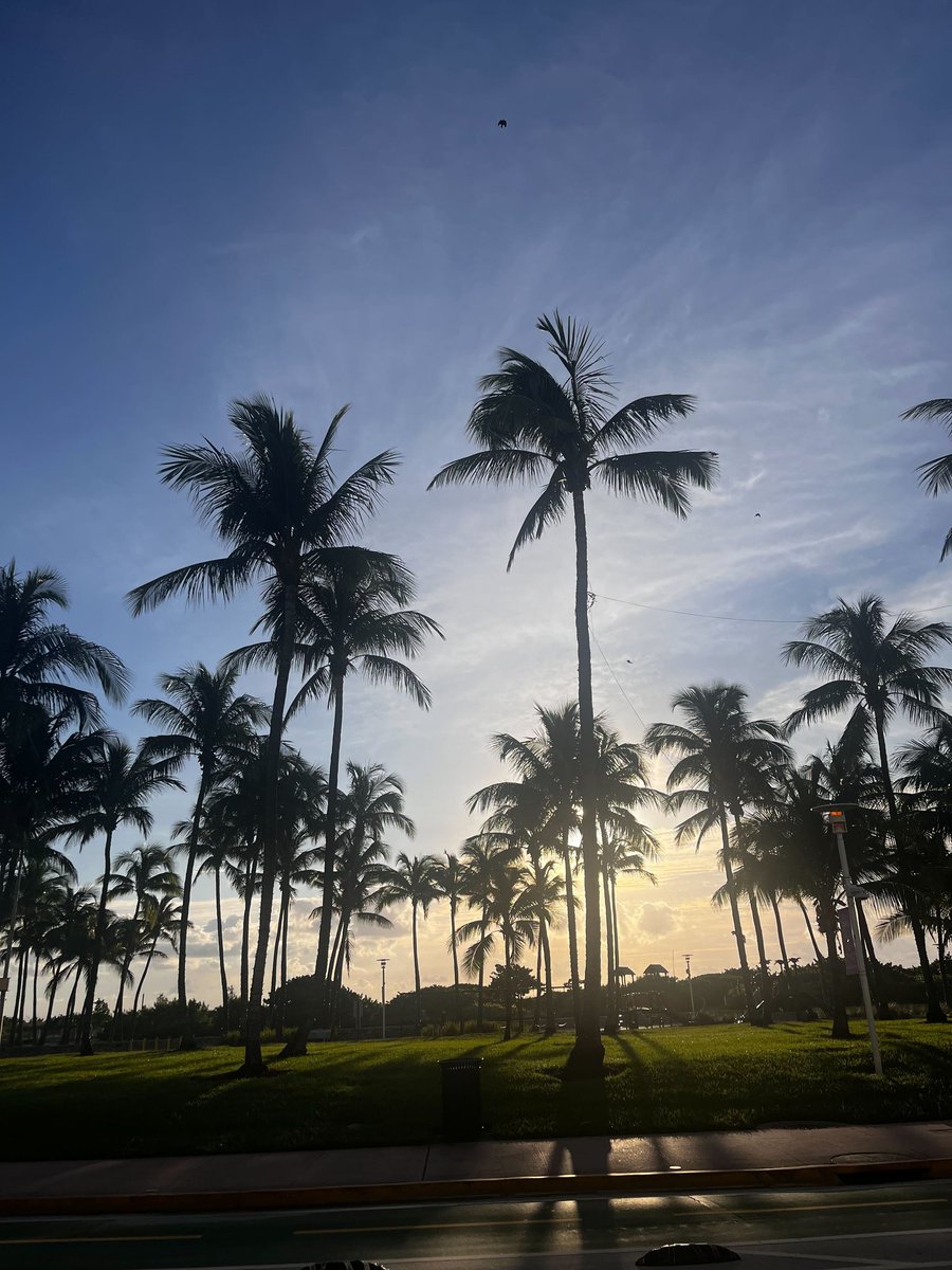 domainME's tweet image. We're thrilled to be part of #AdobeMAX in Miami this year with @spaceship! 🇺🇸🌴 

It's been an incredible experience for the team, connecting with creative professionals and showcasing the power of .ME domains. We’ve had a great response to our contest doodlewith.me 👇