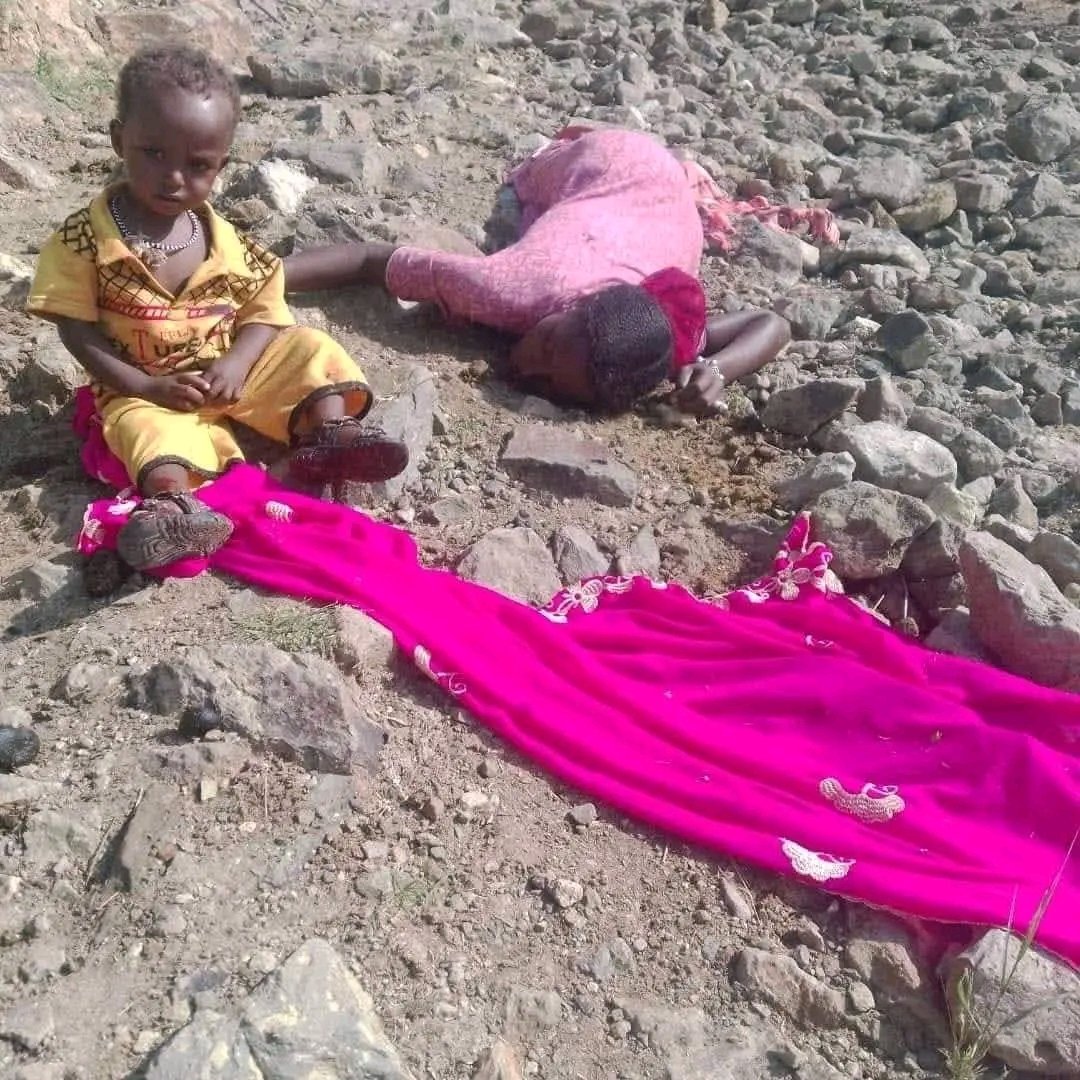 LikuAwoke's tweet image. To all the people of the world who feel humanitarian: The Prime Minister of Ethiopia is carrying out war crimes and genocide against the Amhara people. They are killing innocent people with drones, war jets and armed Force. international community to know about this abuse.