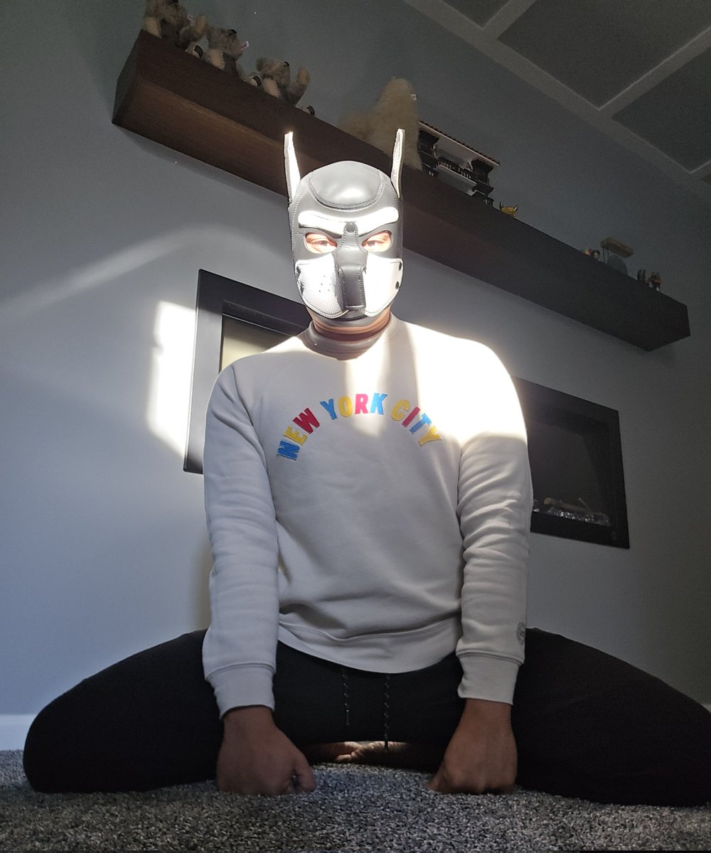 pupcaduceus's tweet photo. Happy Hump Day, pups! Hope your week is going well so far! Awrf awg 🐶🐾
#pupplay #puppyplay #gaypup #gay #gaypuppy #gaypuppyplay #gaypupplay https://t.co/UMnQtwy4Cp