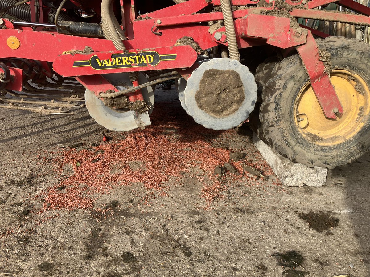 Tom Wright tweet media