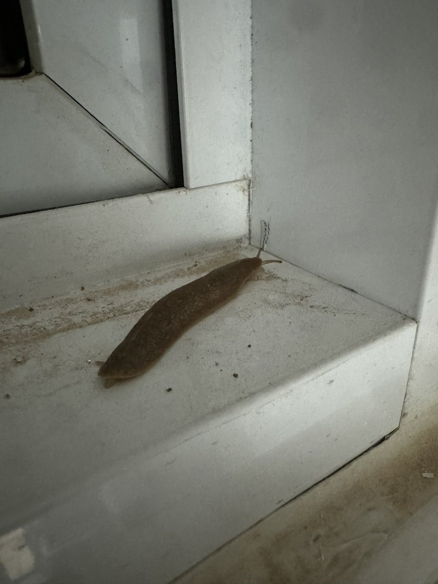 Андрей Иволгин tweet media