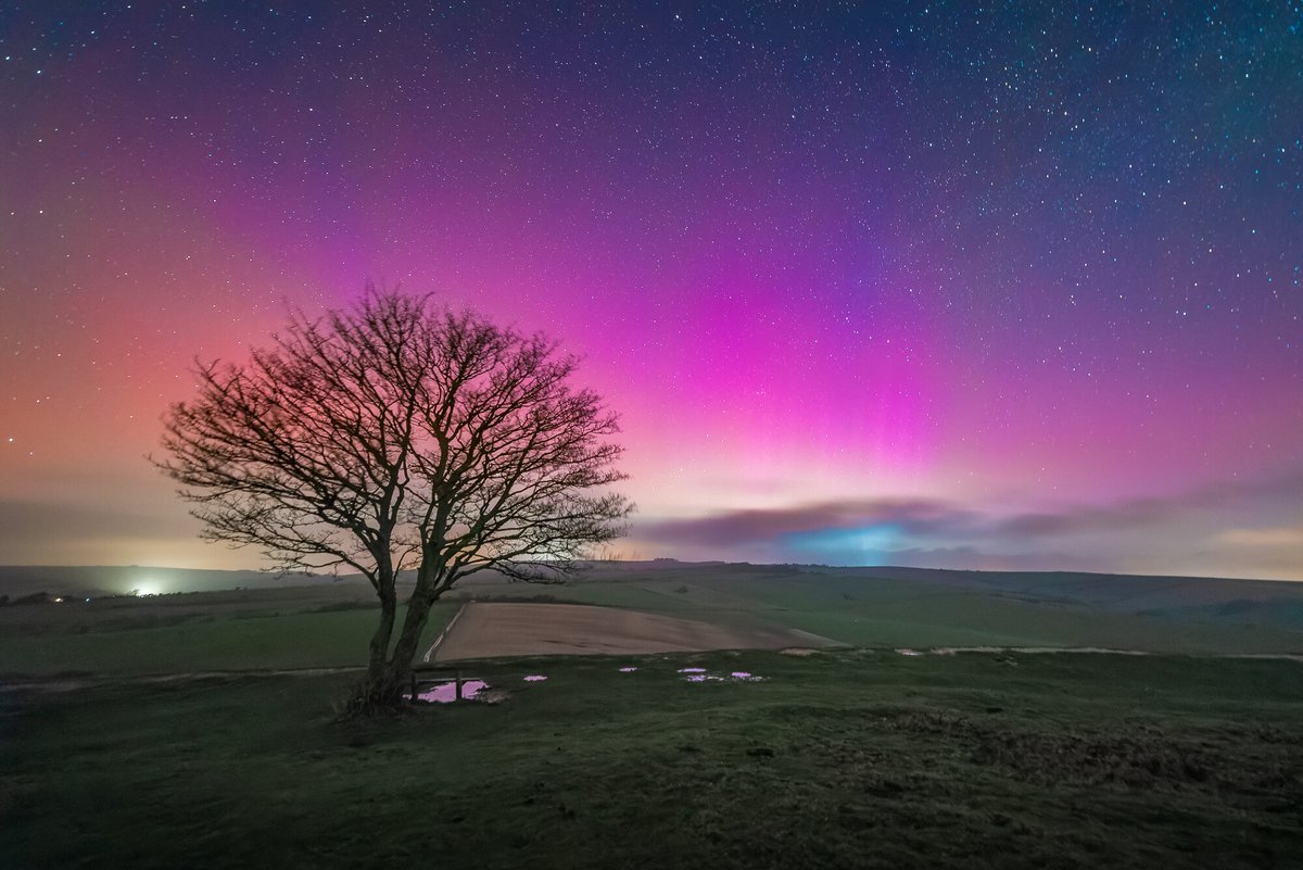 South Downs National Park tweet media
