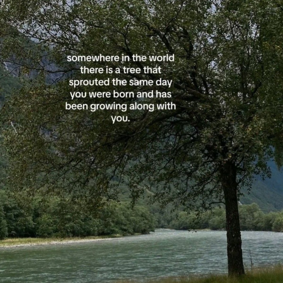 🍂 (@lovandfear) on Twitter photo 