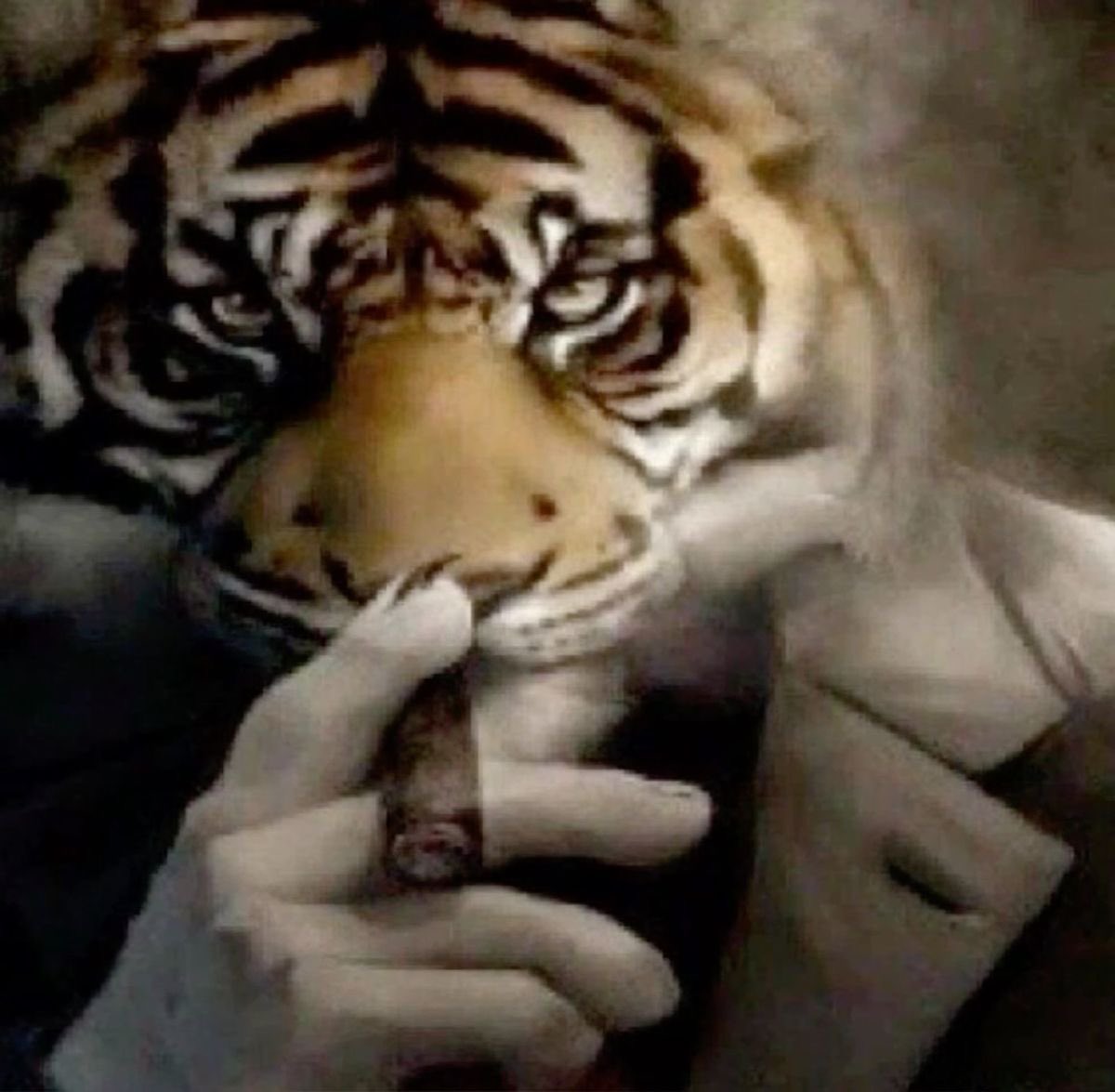 racistio's tweet photo. gm White brothers and sisters

it is time to return to racism 

we spoke with the Jews in charge of X, we're good, thanks @realtombibiyan and @jewtardiosolana for the hookup 🤝🏻 https://t.co/8Kf3sj3Mxd