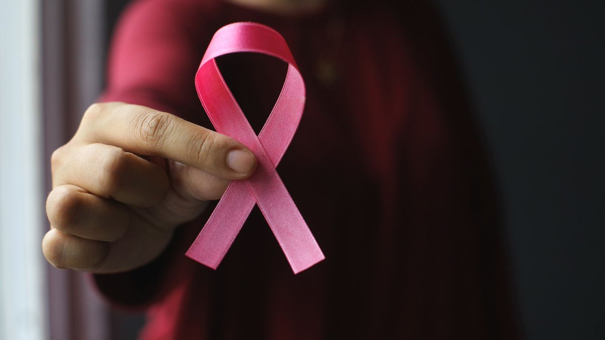 FairviewRange's tweet image. October is #BreastCancerAwareness Month! At Fairview Range, we’re here to support your breast health every step of the way. 

Learn more in our latest blog → bit.ly/4h3WRLp