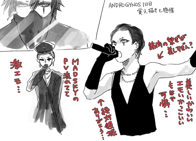 ANDROGYNOUS1日目の最早うろ覚え書(PIERROT 