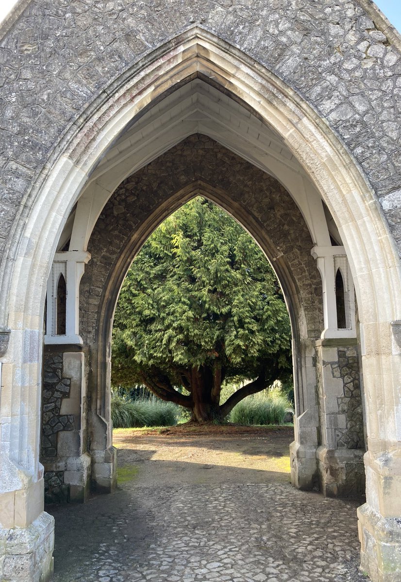 TheKentAcorn's tweet photo. The very fabric of a human existence should be centred on Nature, and not the man made structures that isolate and alienate us from it https://t.co/qk8oX4qmta