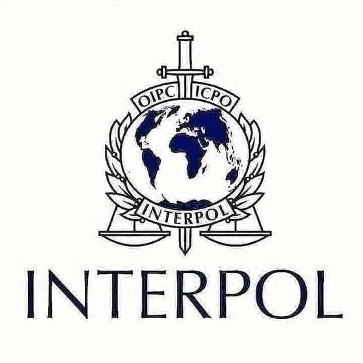 Kate Kaufman (@katekaufma07) on Twitter photo 