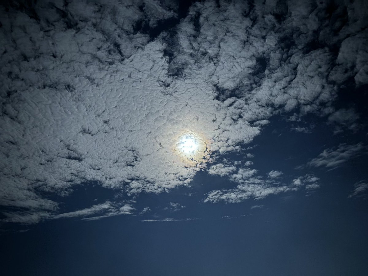 freestylejinjin's tweet photo. アトラス彗星見たいんだけど、肉眼で見えるのかい?
あしたはスーパームーン🌕見れそうにないので今夜のお月見楽しんだよ。
#supermoon
#perigeemoon https://t.co/pAkzinZ8Tv