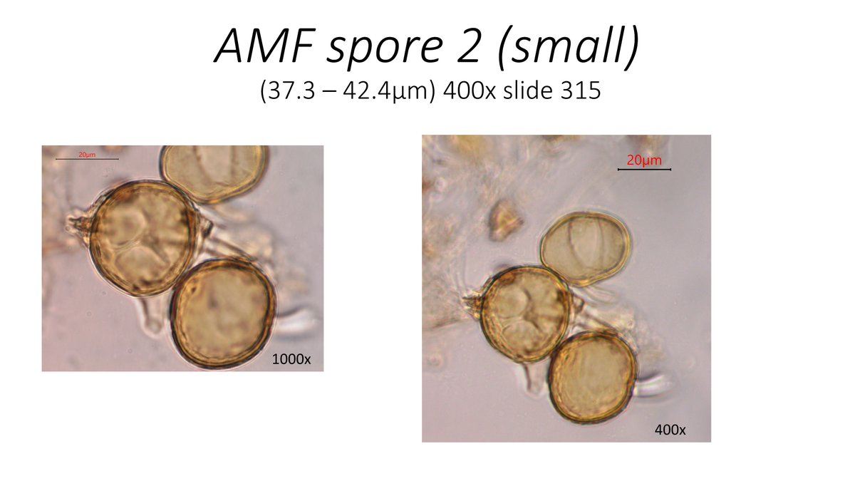 Ryan Stephens tweet media