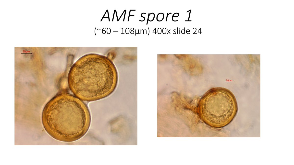 Ryan Stephens tweet media