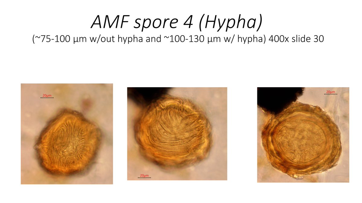 Ryan Stephens tweet media