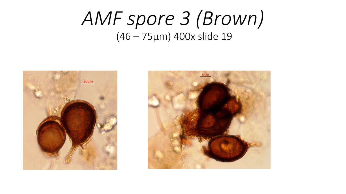 Ryan Stephens tweet media