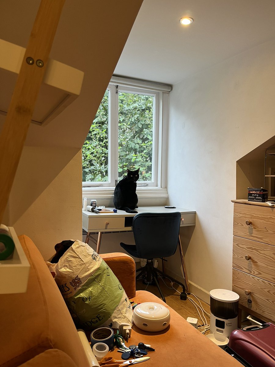 i’m moving out of my flat today and ophelia is making so so sure that i know she is Very Sulky and Extremely Displeased about it