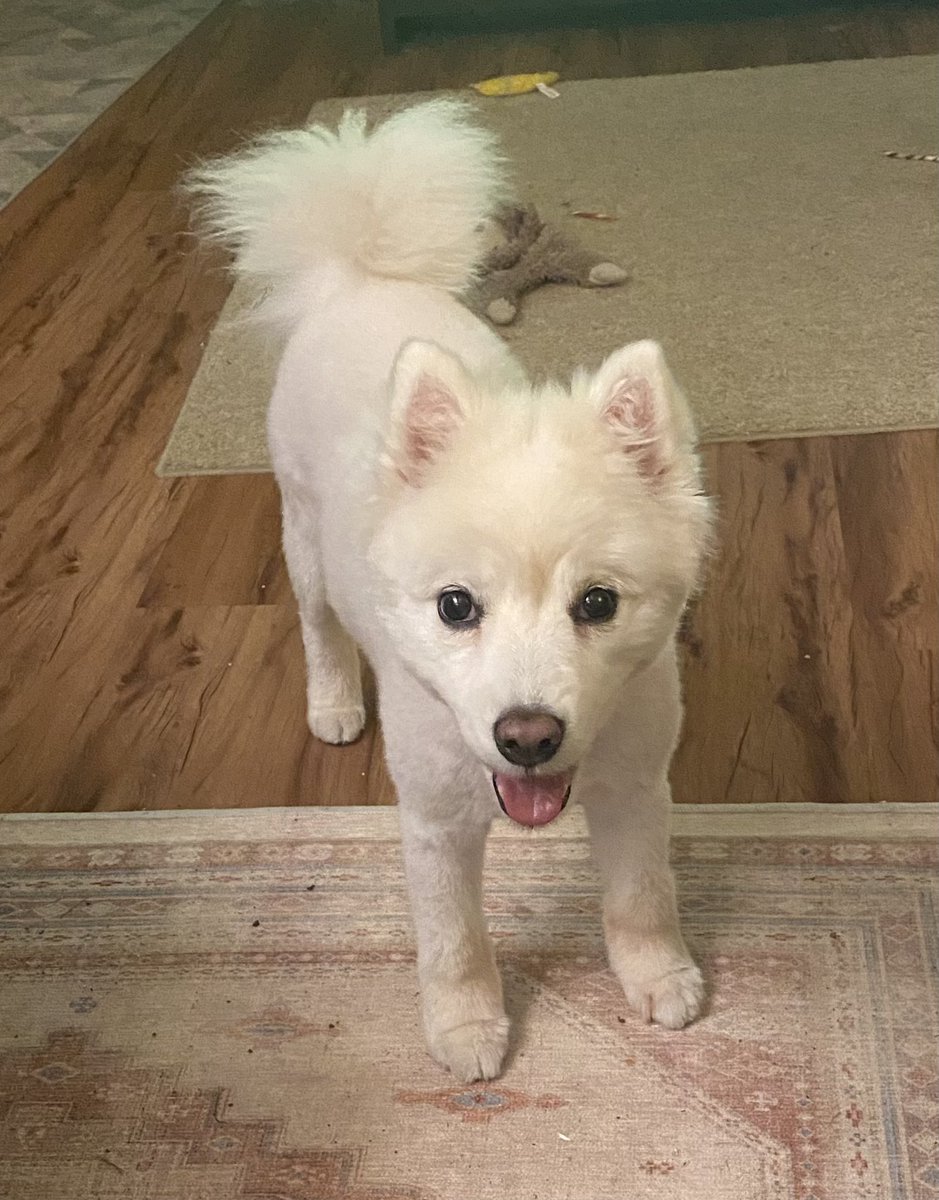 Hello hello from Phoebe! ❤️