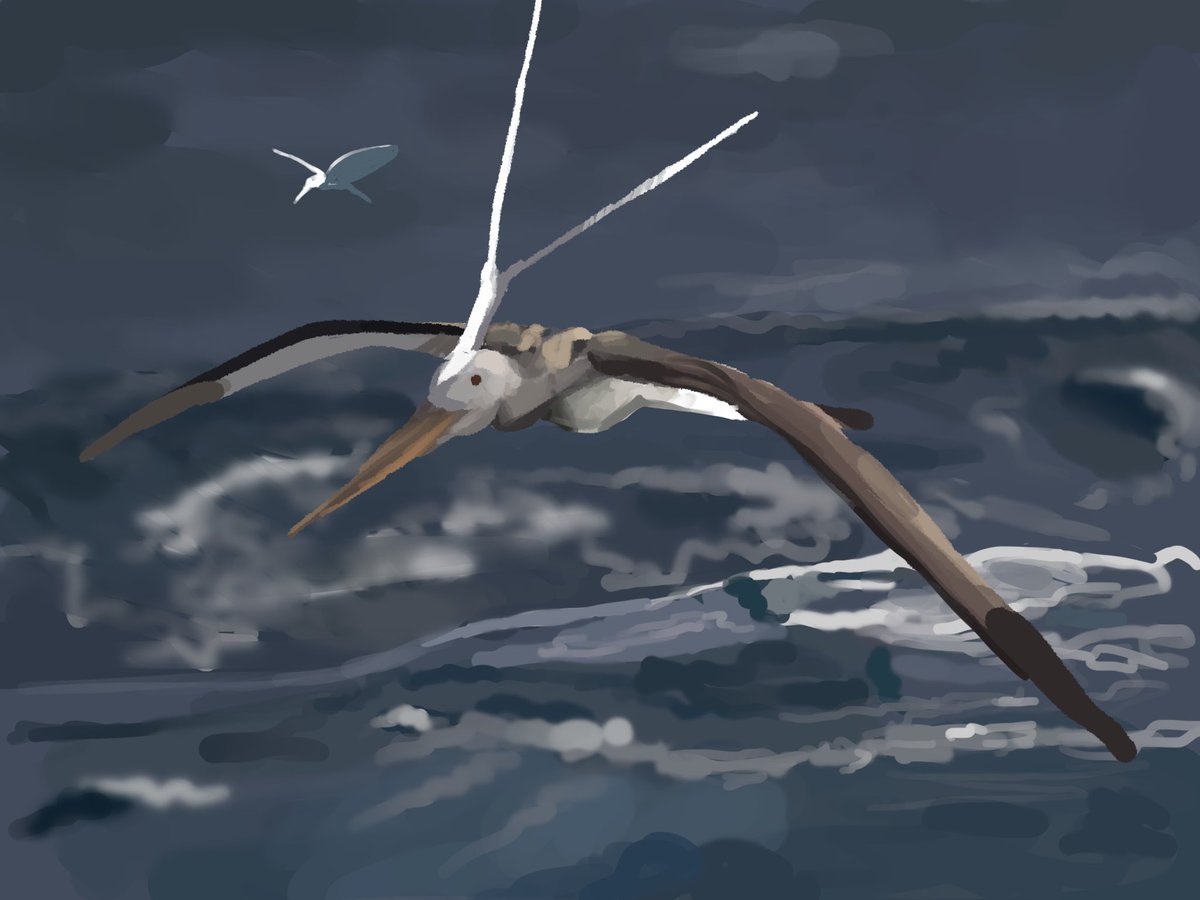 BStokkermans's tweet photo. Since It will most likely be a while until I can finish a full piece, I thought I’d share some ideas I’ve had sitting in my concept folder for a while now!
These ones are all very moody and I’m looking forward to returning to them one day.
Let me know which one is your favorite https://t.co/TBkFOqHsXb