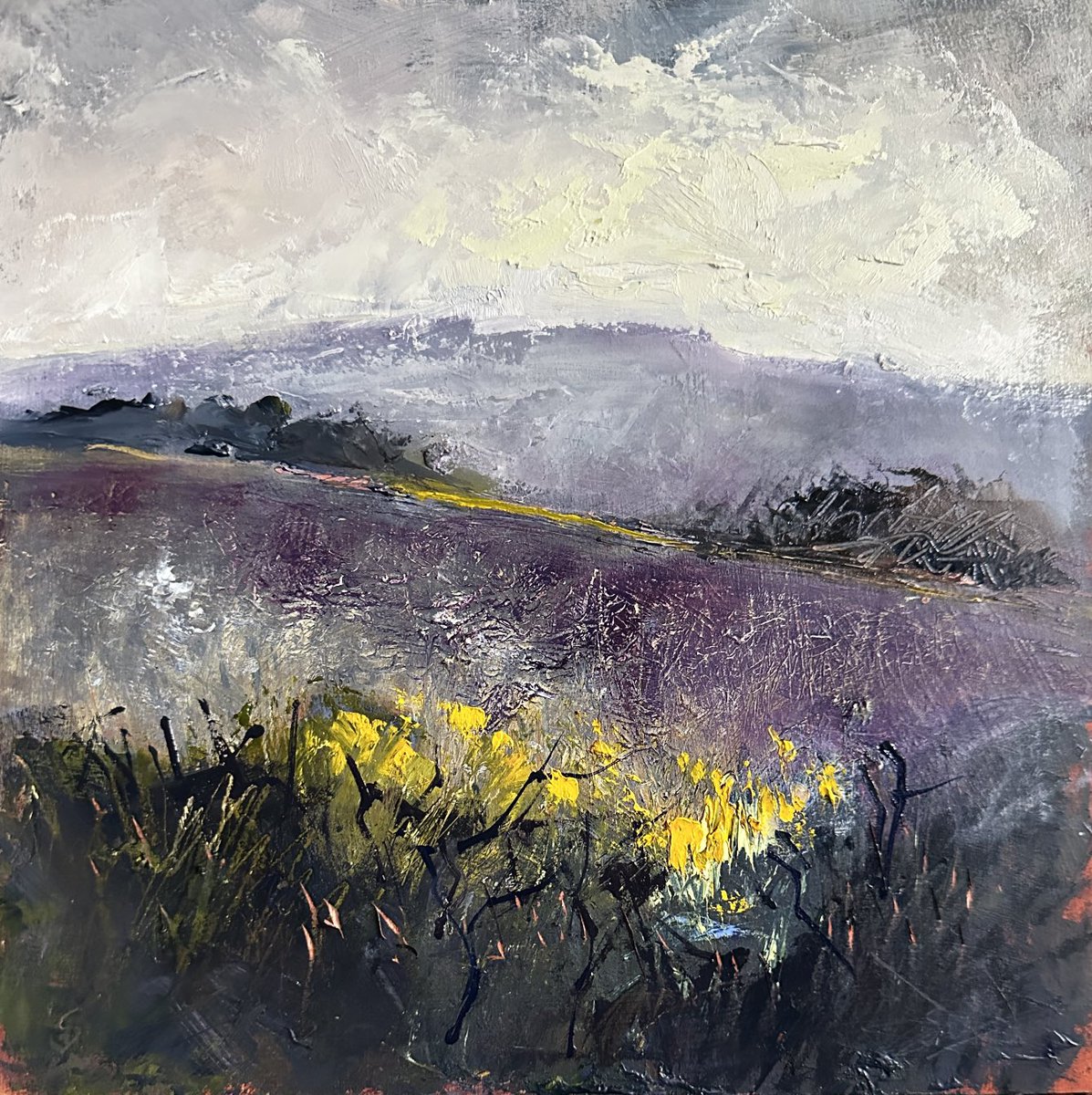 staithesartist's tweet image. Another #reworking #heather #HiggerTor #Derbyshire #oils #woodpanel 10x10” #atmospheric #landscapes